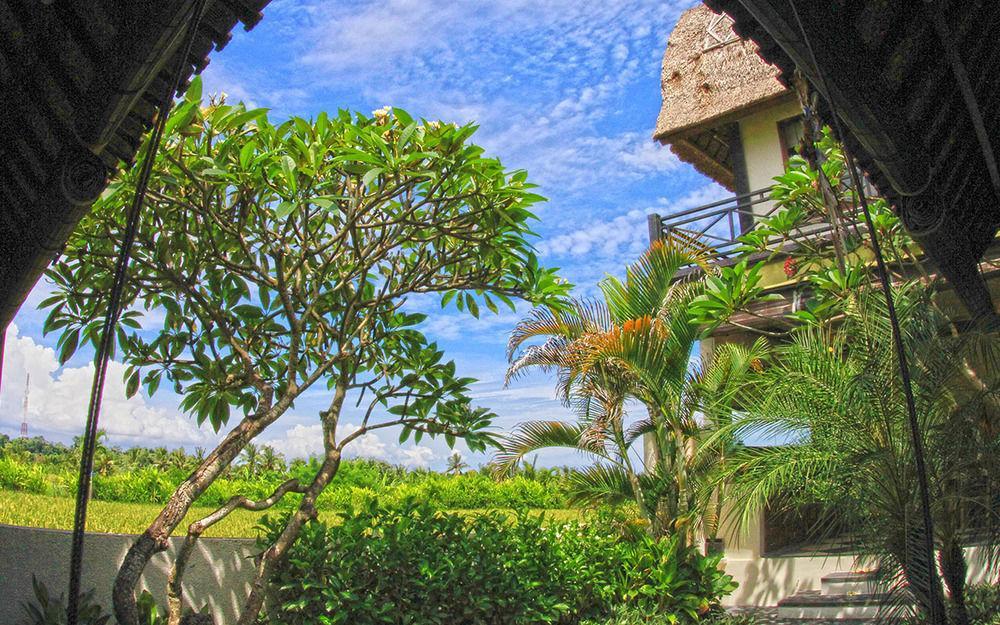 Kubu Kedungu Villas Tanah Lot  Luaran gambar