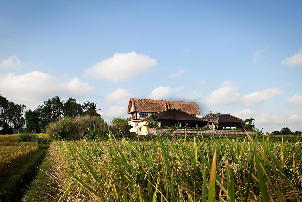 Kubu Kedungu Villas Tanah Lot  Luaran gambar
